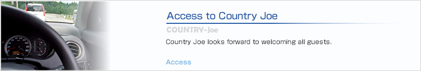 Access | Access to Country Joe